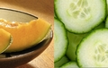 Melon – Concombre